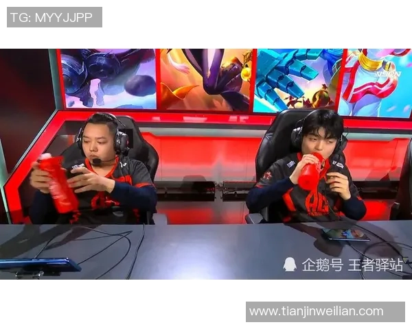 王者荣耀深度解析RNG战队防守策略与战术布局的成功之道